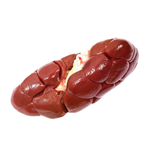 Beef kidneys